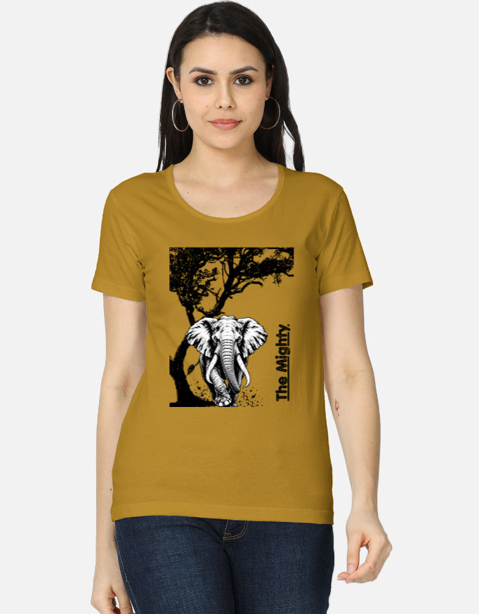 Front_1_c_43.jpg